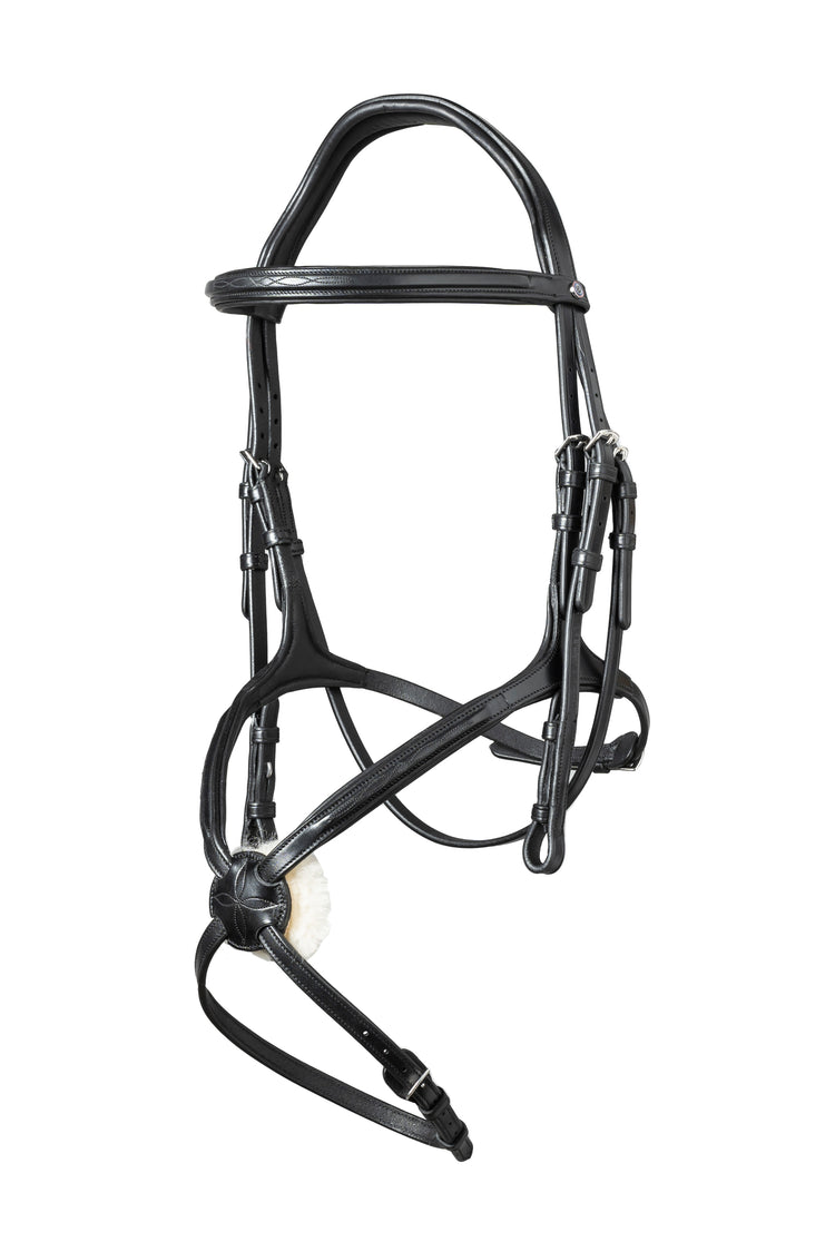 Mexican grackle bridle