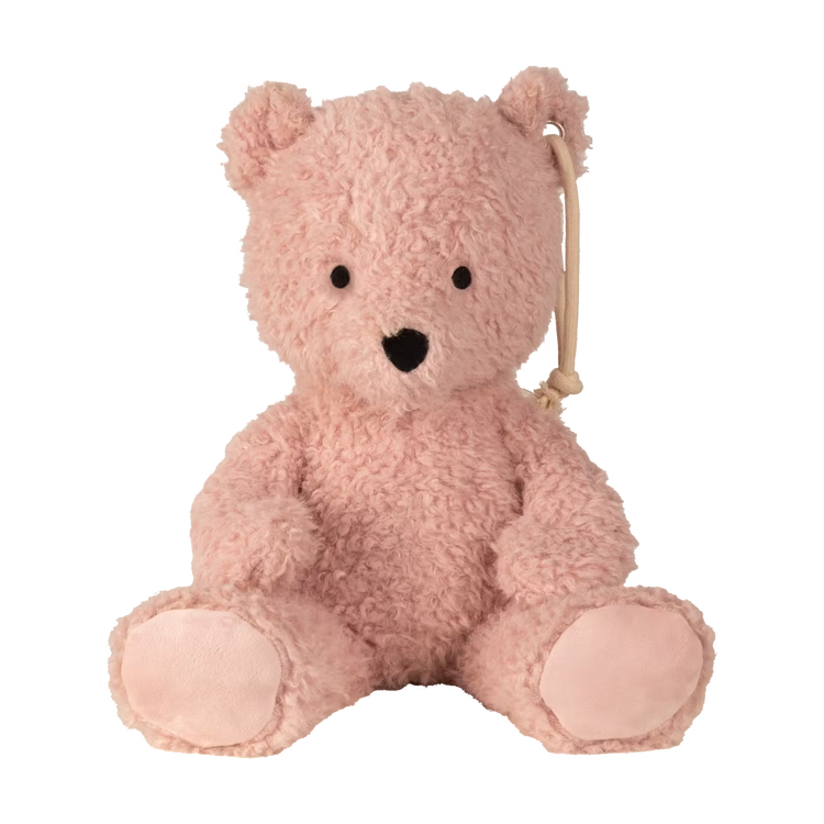 Pink Teddy Bear from Kentucky