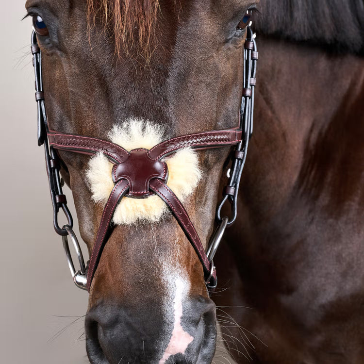 Straight browband with elegant, plaited leather details