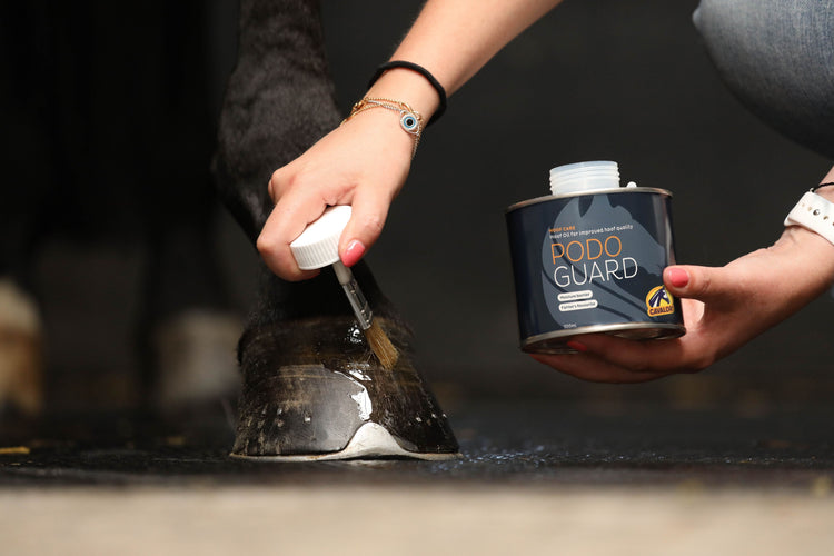 Hoof Oil for sensitive hooves