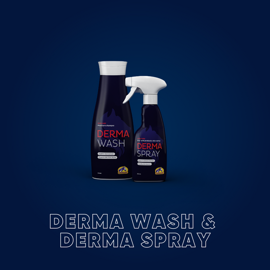 Derma Spray
