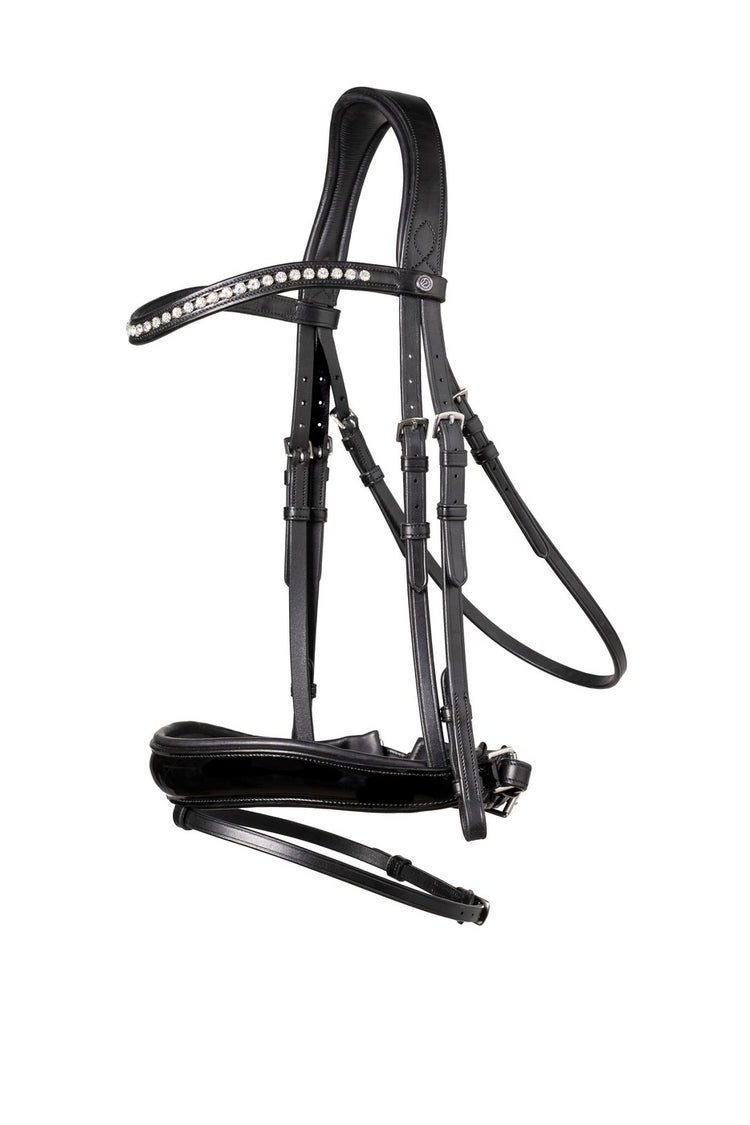 Bridle with patent leather