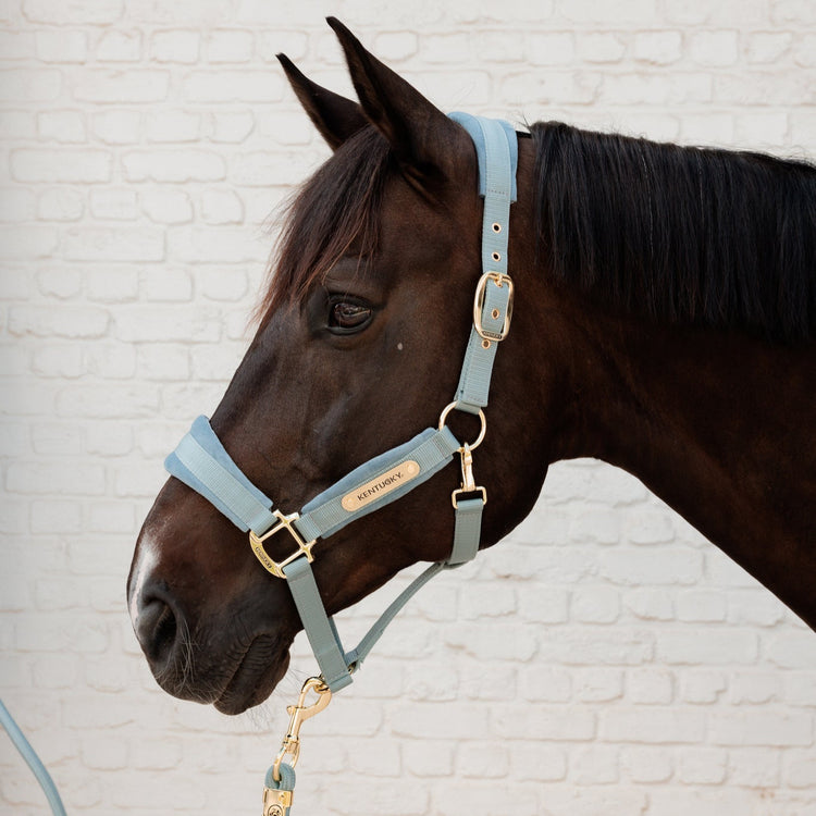 Kentucky velvet collection