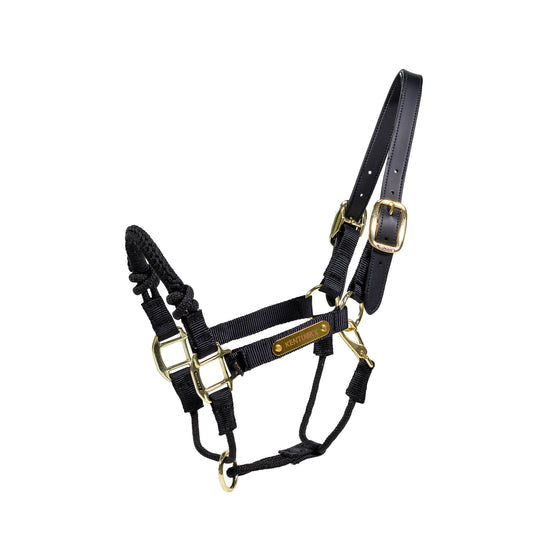 Kentucky control halter