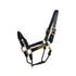 Kentucky control halter