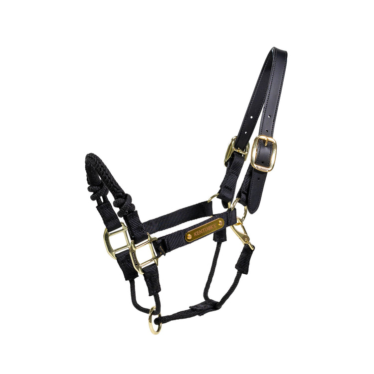 Kentucky control halter