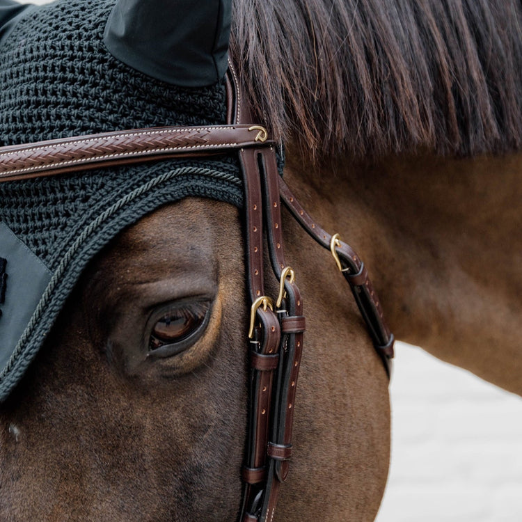 bridle with gold fittings