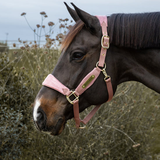 Kentucky Horsewear Unicorn Halter