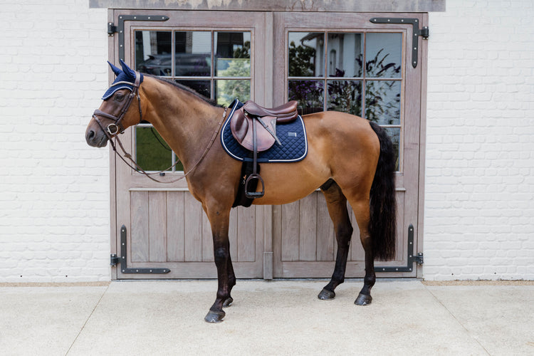 Navy matching set for horses