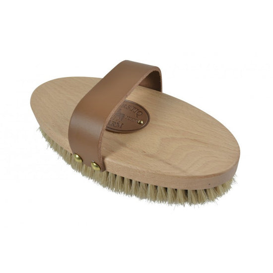 daily use horse brush