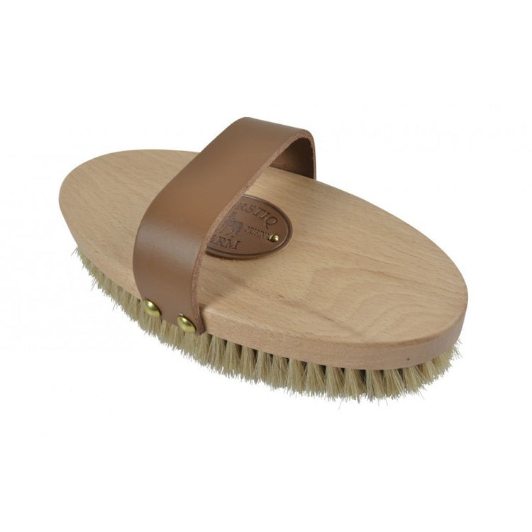 daily use horse brush