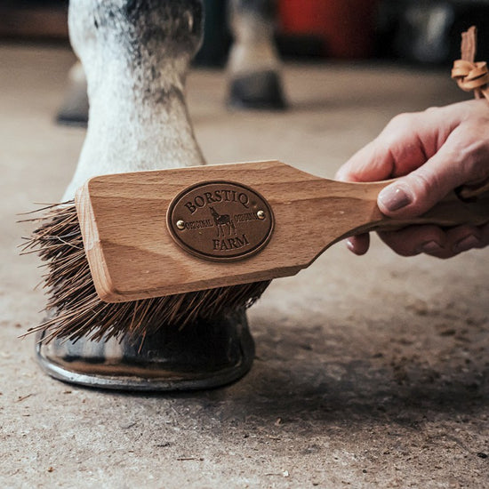 hard horse brush