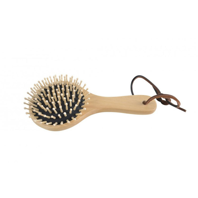 mane brush