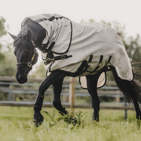 turnout fly rug