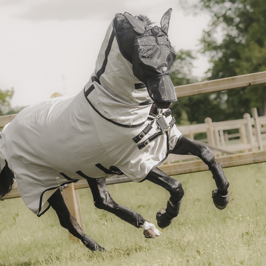 horse fly mask with ears and nose