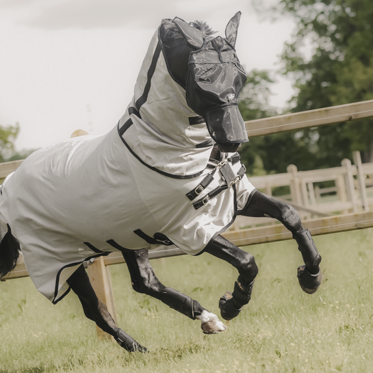 Kentucky Horsewer Fly Rug & mask set