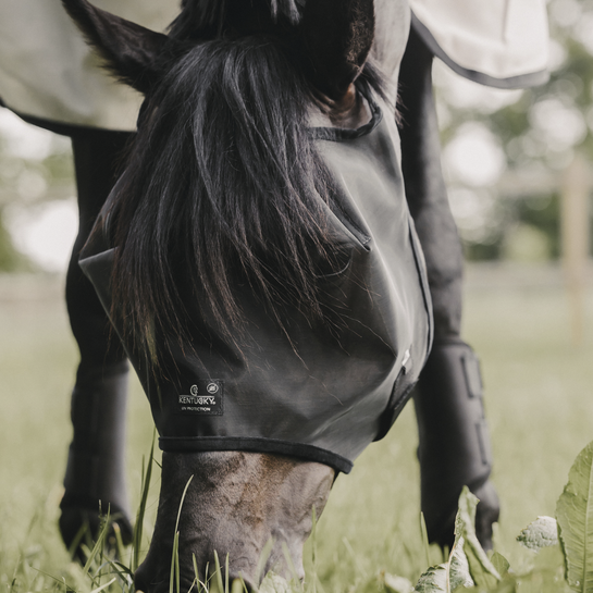 horse fly mask that won&