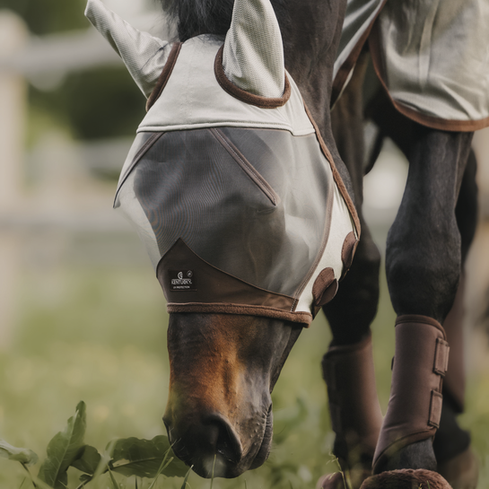 horse fly mask with ears