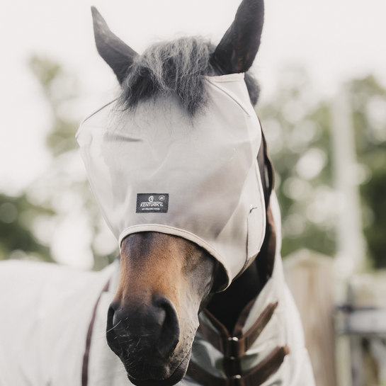horse fly mask with eye cups