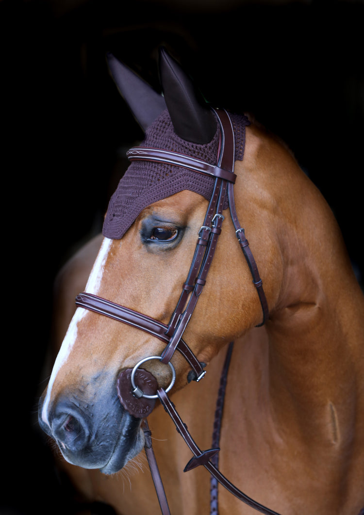 Best ear bonnet for sound sensitive horses