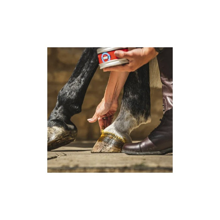healthy hoof growth ointment