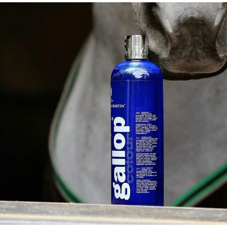 best horse shampoo