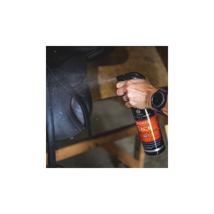 Equestrian leather care