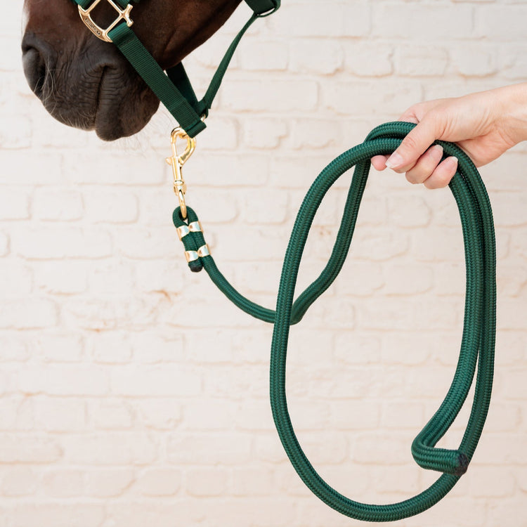 lead rope with snap