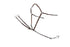 Trust Equestrian leather breastplate Athens