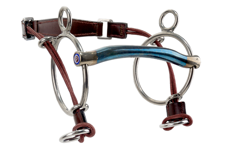 Trust sweet iron bit