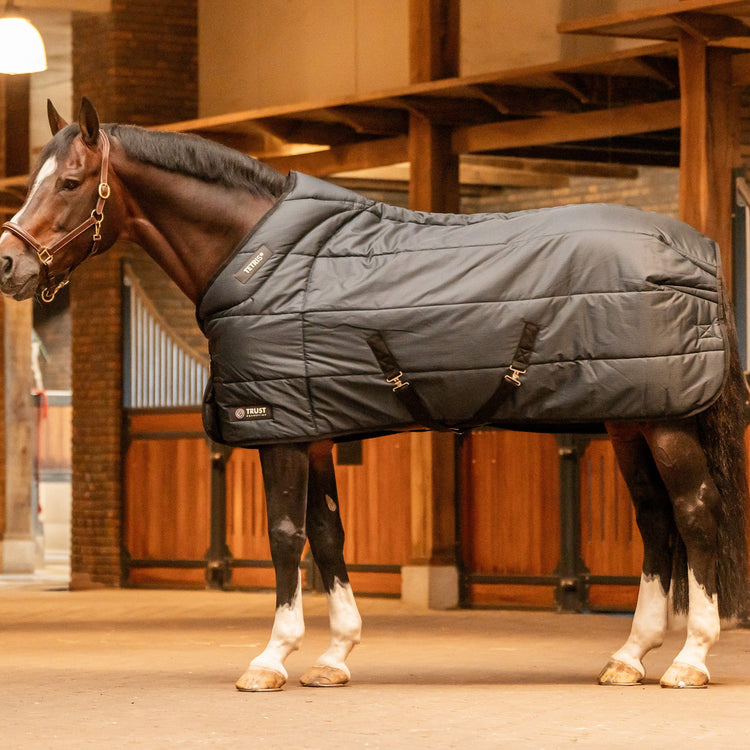 Trust Tetris Stable Rug in black