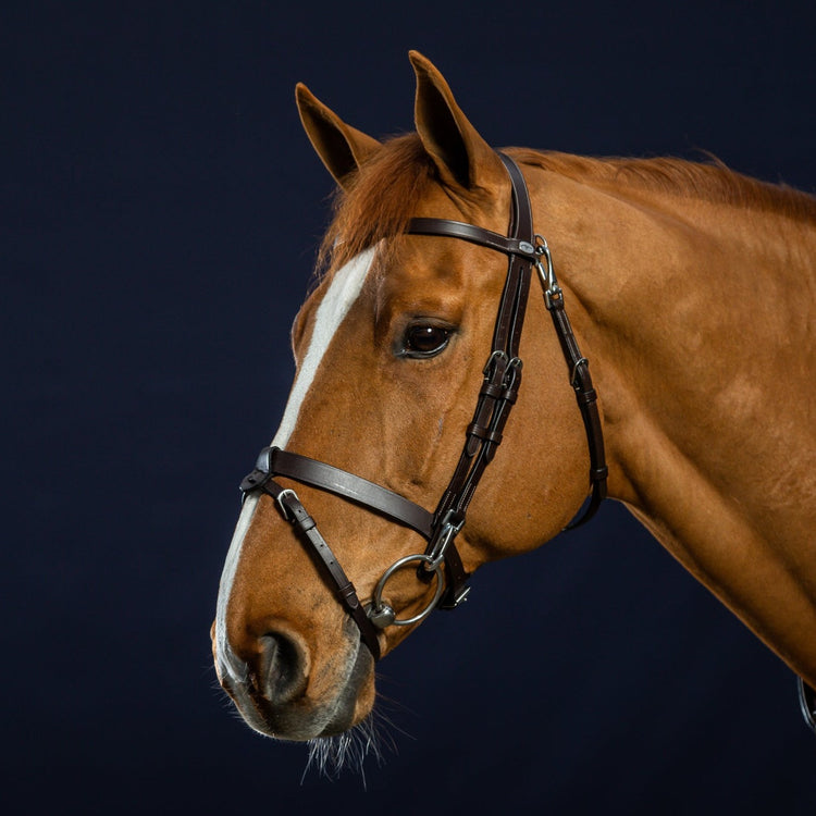 bridle with snap hook for the bit