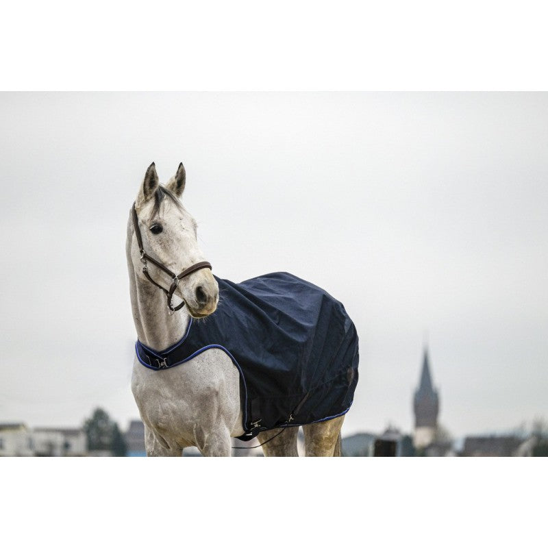 horse walker rug