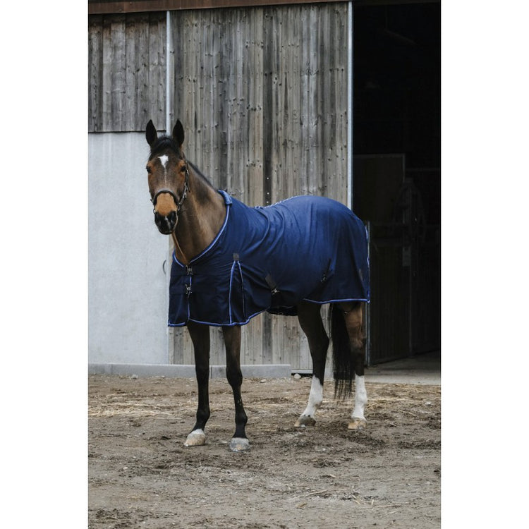 horse summer rug