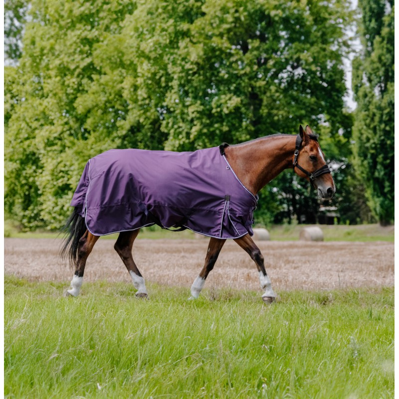 Turnout Rug Tyrex Aisance 600D plum
