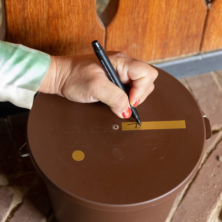 bucket with lid