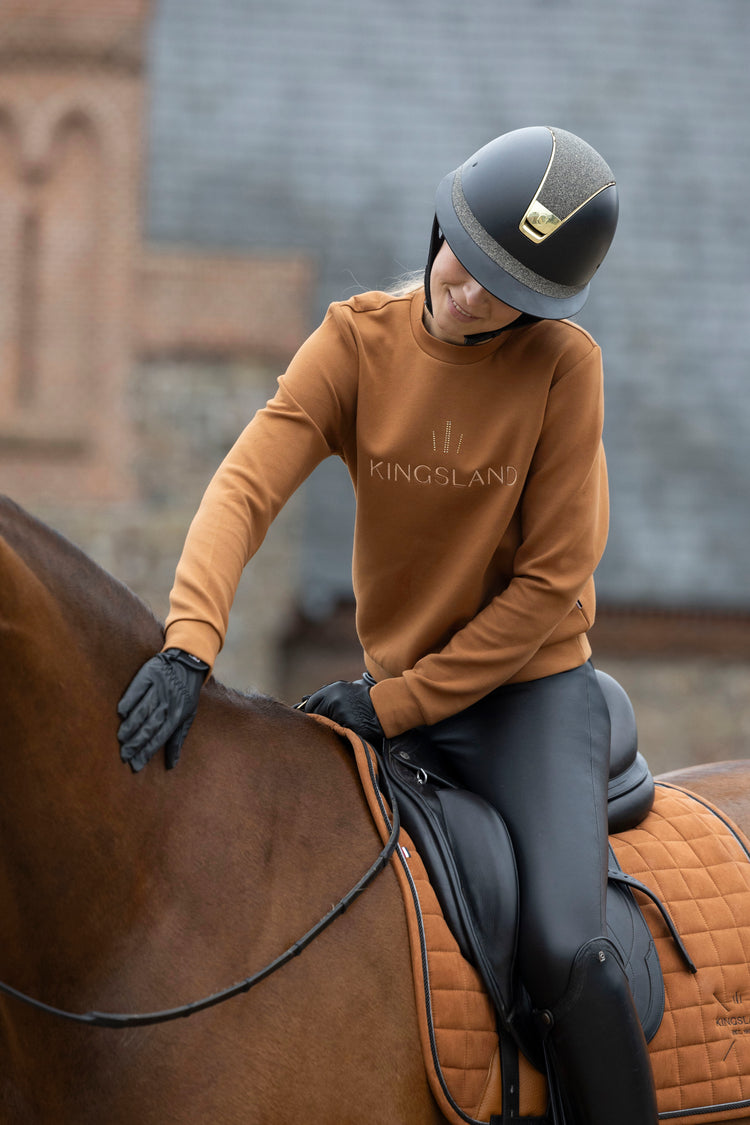 Person riding a horse wearing a brown long-sleeve shirt with &