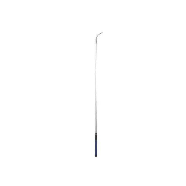 Dressage whip for training