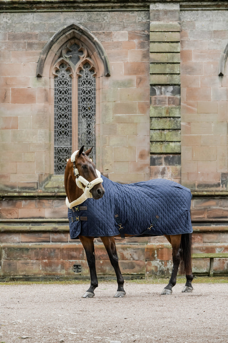 Kentucky Horsewear Show Rug Navy