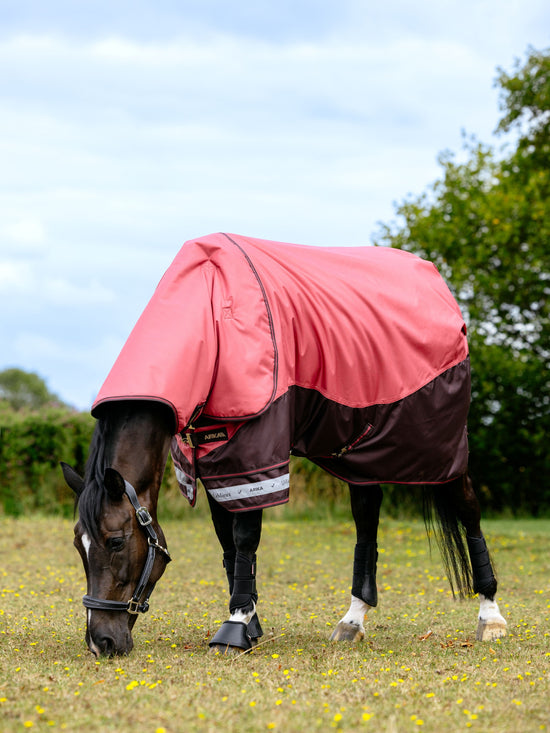 LeMieux Arika cranberry turnout rug