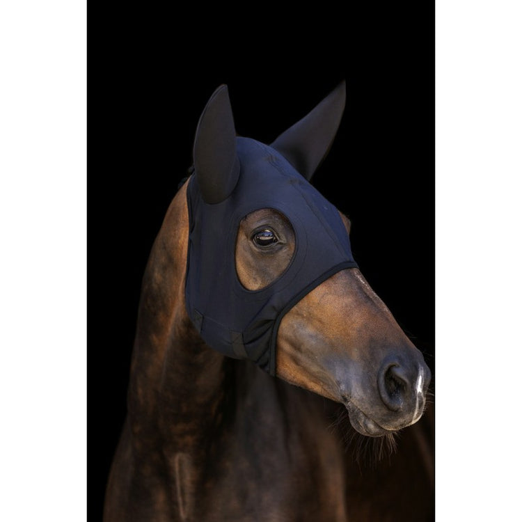 horse stress reducing compression mask