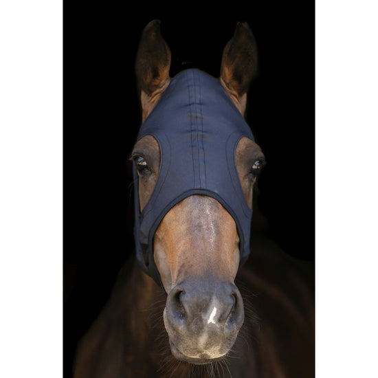 calming mask for horses