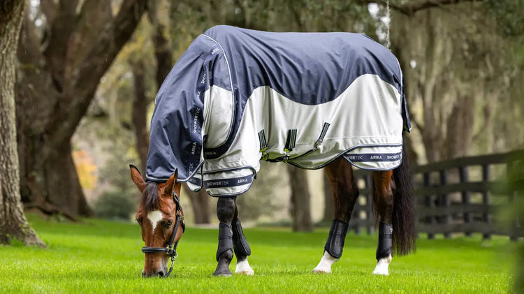 Horse wearing LeMieux Shower-Tek Fly Rug