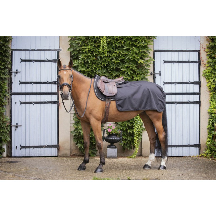 Horse rain sheet