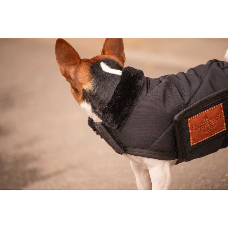 Velcro closure dog rug