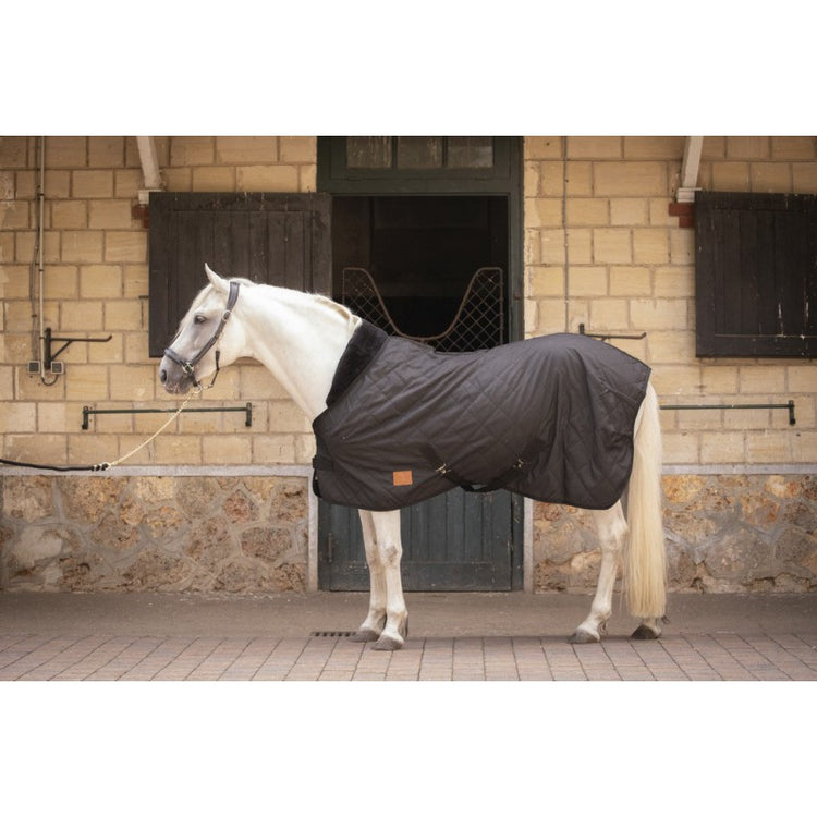 Padded Stable Rug