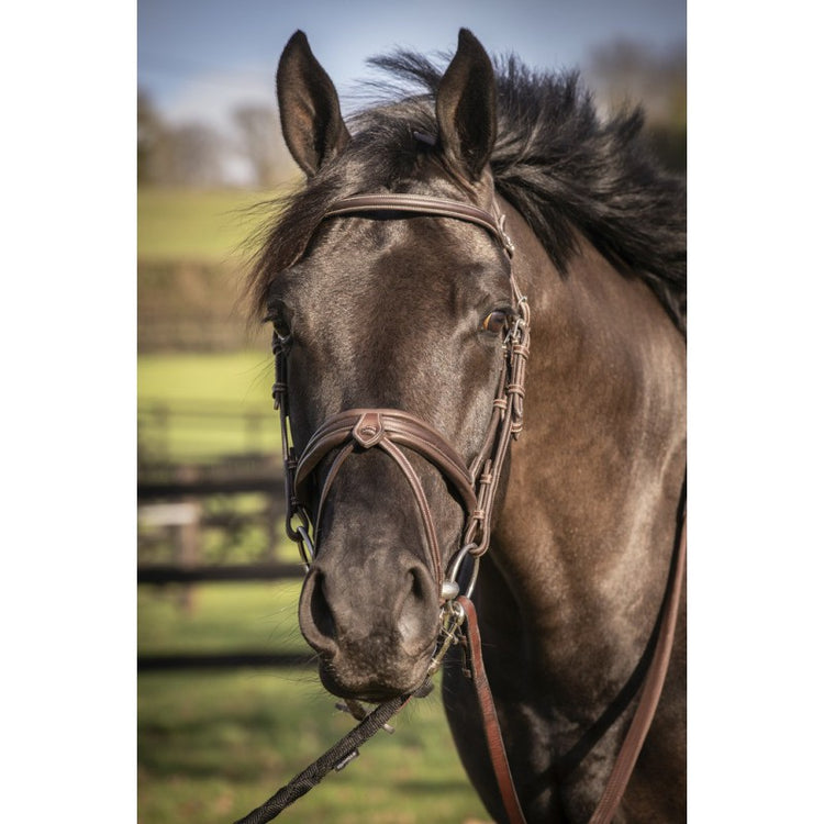 Penelope anatomical headpiece bridle with decorative insert and loops.