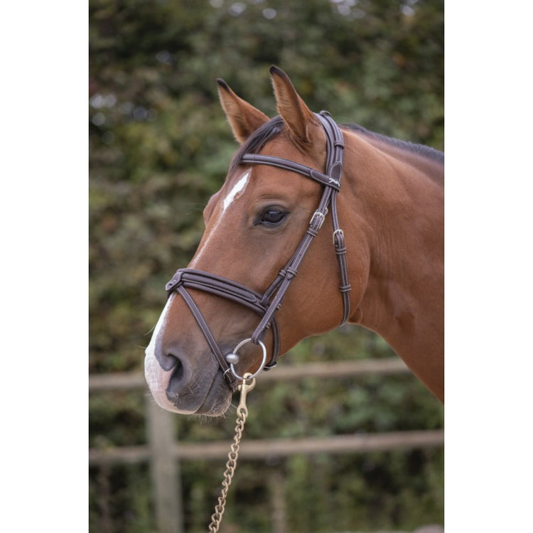english noseband bridle with removable flash