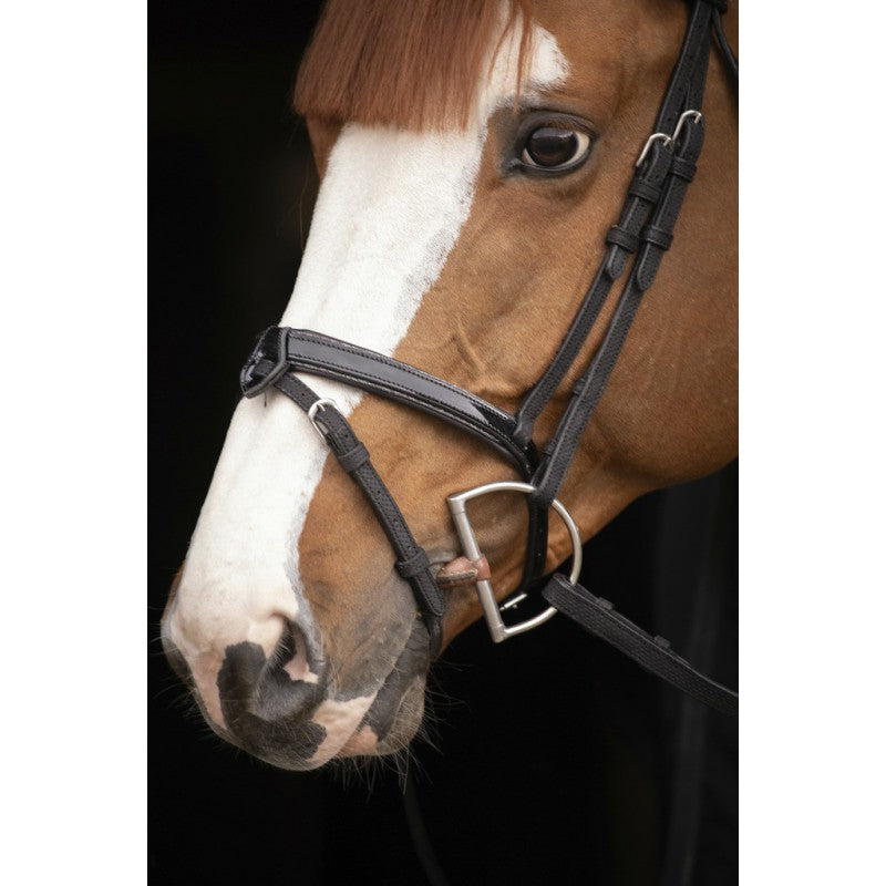 Show jumping bridle with patent noseband