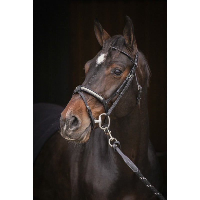 Bridle Symphonie SR